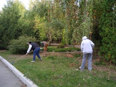 ИВМиФ принял участие в общегородском субботнике в рамках месячника по благоустройству